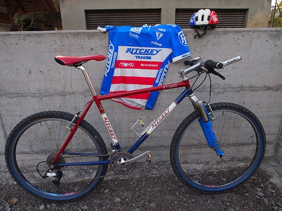 Ritchey P-20 008