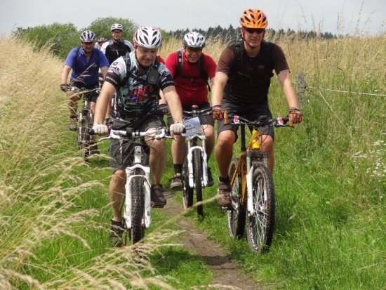 TeamIII Lindscheid08