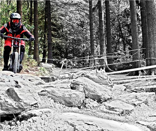 Über Stock und Stein