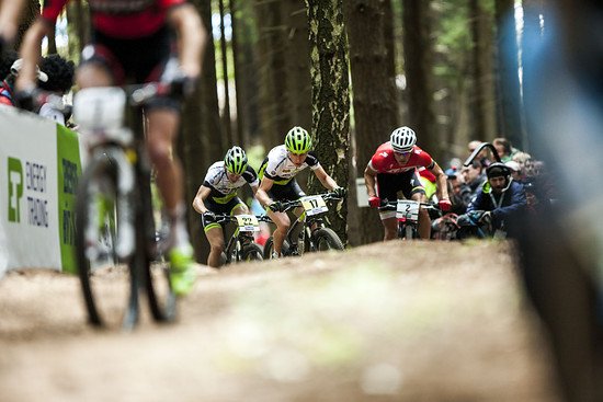 Dahinter Kulhavy, Cink und Litscher