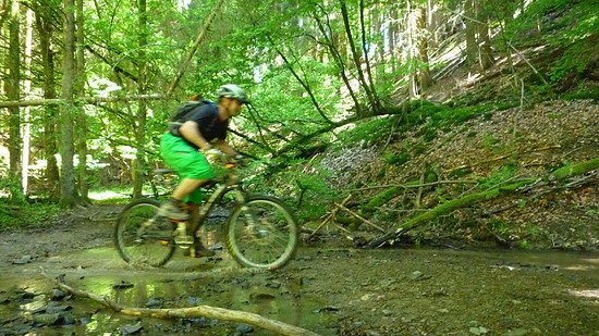 Bachblitz (FILEminimizer)