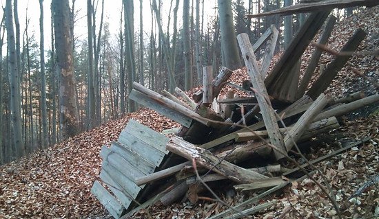 Fwd: Rache der Bache