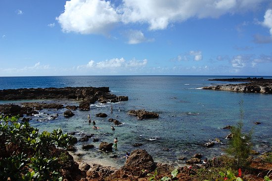 Shark's Cove - einer der besseren Orte zum Schnorcheln auf Oahu.