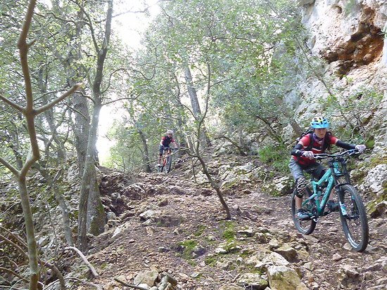 Go! through the forest