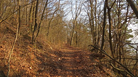 Frühlingstrail II