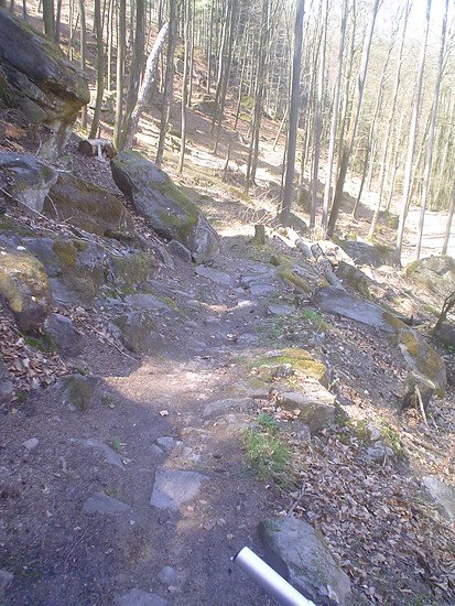 Trail Falkensteig2