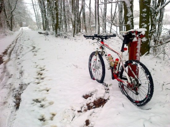 large IMG-20121202-00062