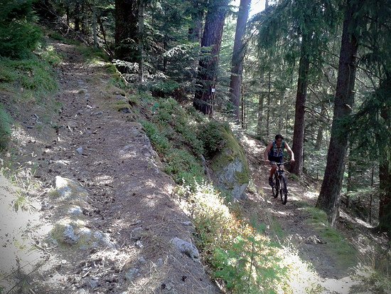 Hohloh nach Felsenweg 21