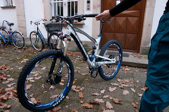 Strive AL 8.0 2013 M