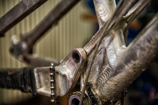 Ion ST Lager service (4)