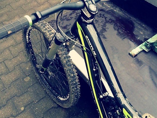 Specialized Status FSR 1