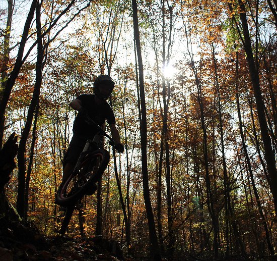 herbstlicher Hometrail