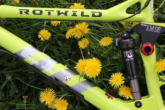 E1 Green auf grüner Wiese