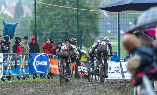 Start Damen back by wipp