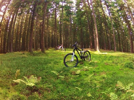 d`Hanspetra und Helga