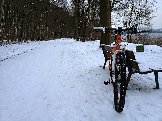 ZR Race First Ride b