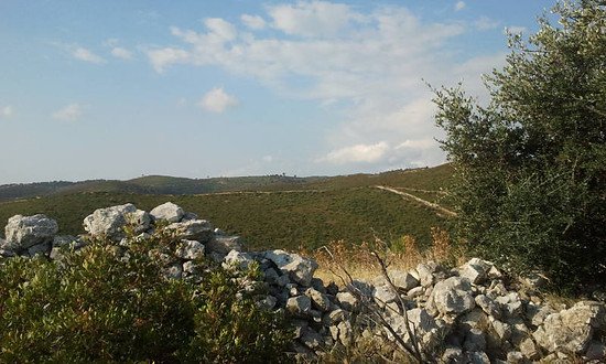 Tra Vieste e Pugnochiuso 1/Zwischen Vieste und Pugnochiuso