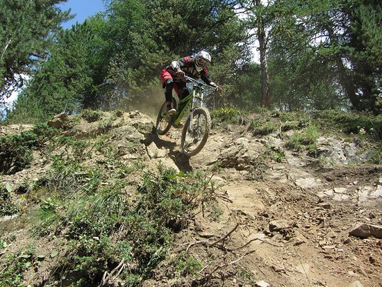 Newbie first ride gambler