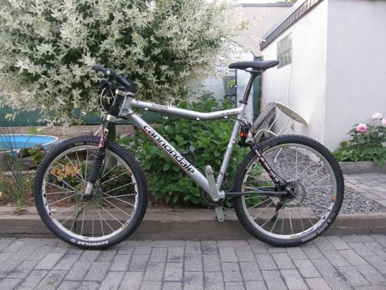 Cannondale Scalpel Team Replica II
