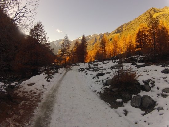 Abfahrt im Lichterspiel