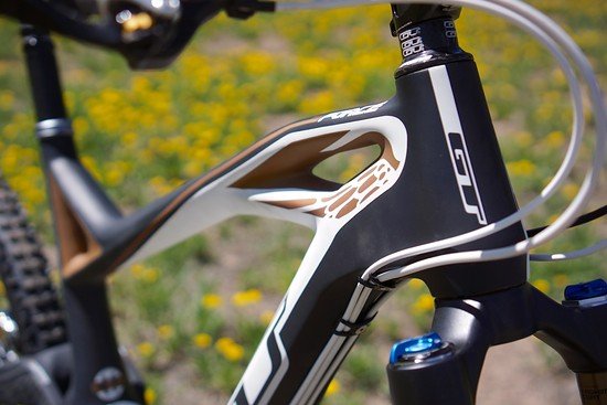 Tapered Steuerrohr. Die Steuersatz-Lager liegen direkt im CFK