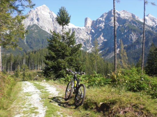 Saalfelden September 2012 001