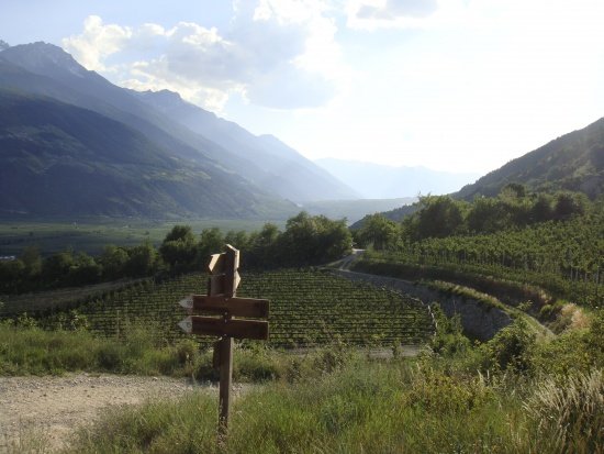 Blick ins Obervinschgau