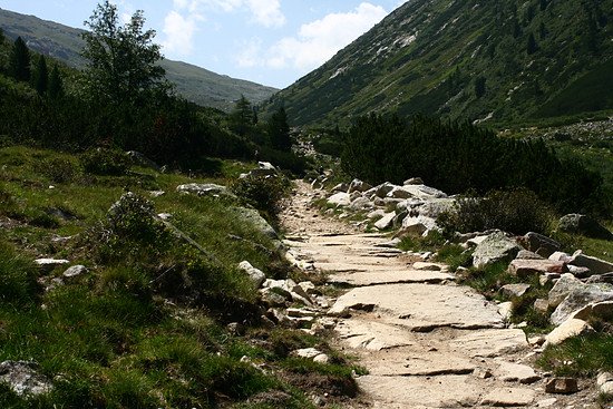 Anstieg Pfitscher Joch