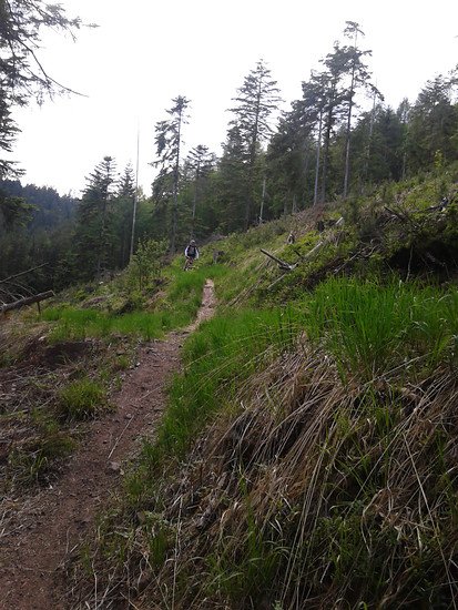 Trail2