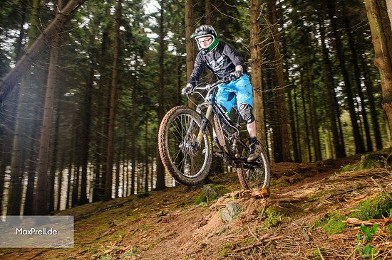 FreeRide - "Wurzeltrail"