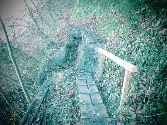 Vorweihnachstour 2013