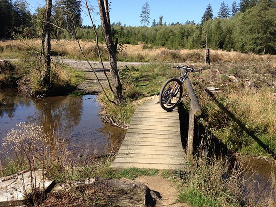 Arnsberger Wald  im Herbst