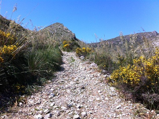 rocks and stones everywhere