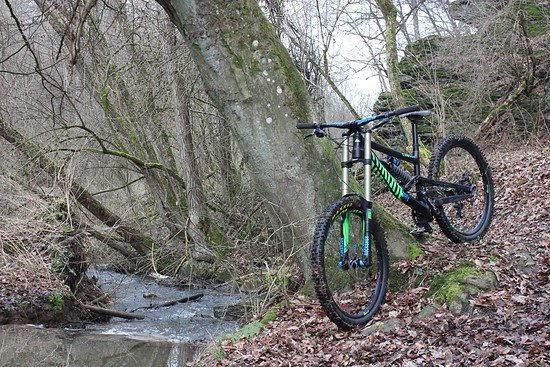 Canyon Torque DHX Whipzone
