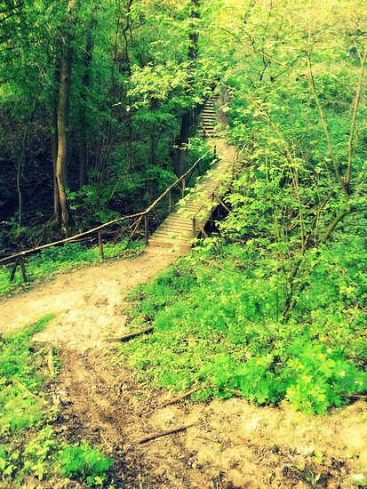 Trail entlang der Dammwiesen/Strausberg