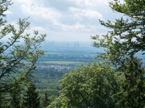 taunus blick richtung ffm