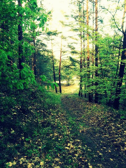Schießplatz bei Strausberg.