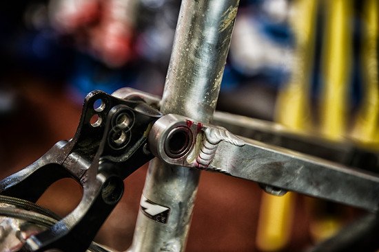 Ion ST Lager service (10)