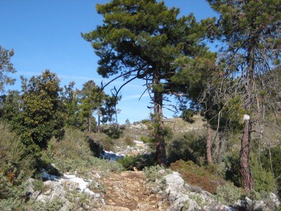 Mont Chauve d´Aspremont 3