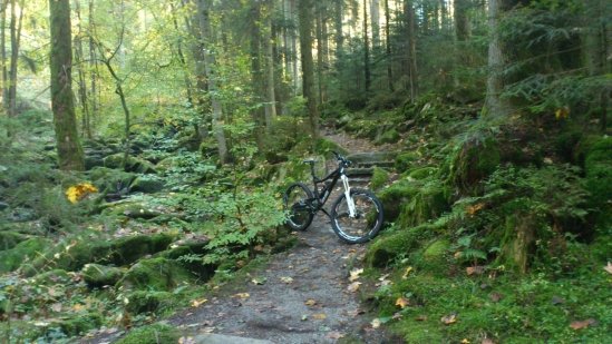 Saußbachklamm die dritte