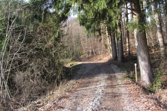 Tour Landgänge Höchsten 31 12 12 03