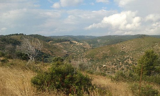 Tra Vieste e Pugnochiuso 3/Zwischen Vieste und Pugnochiuso