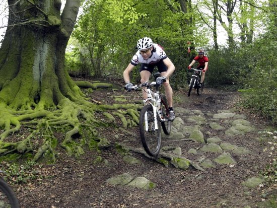   CTF Essen Steele 2012