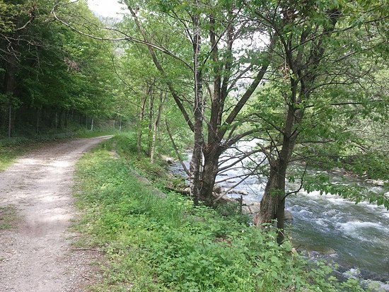 Fluss Vedeggio bei Taverne