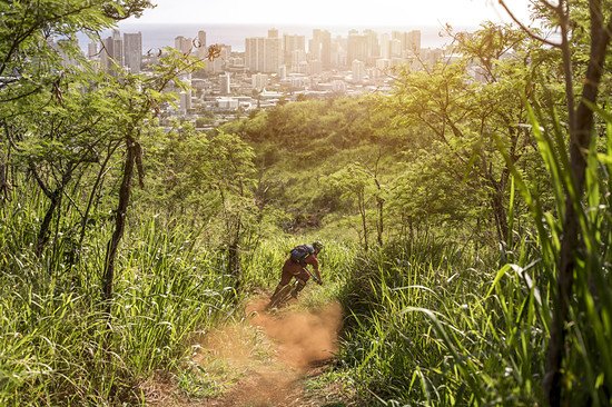 Für die Bausünden von Honolulu hat Daniel hier zum Glück keinen Blick. Foto: Markus Greber