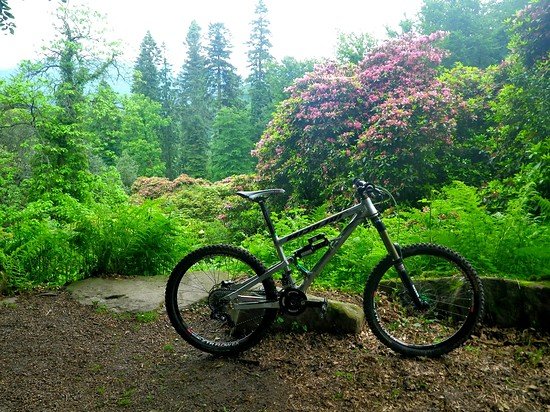 Ion @ Rhododendronwald Heidelberg