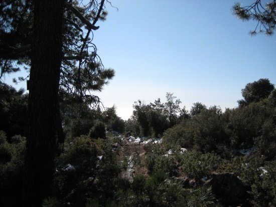 Mont Chauve d´Aspremont