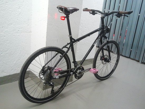 FrischFettigerTroll03