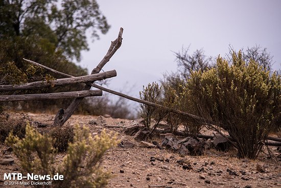 Dieser Zaun hat seine besten Tage hinter sich....