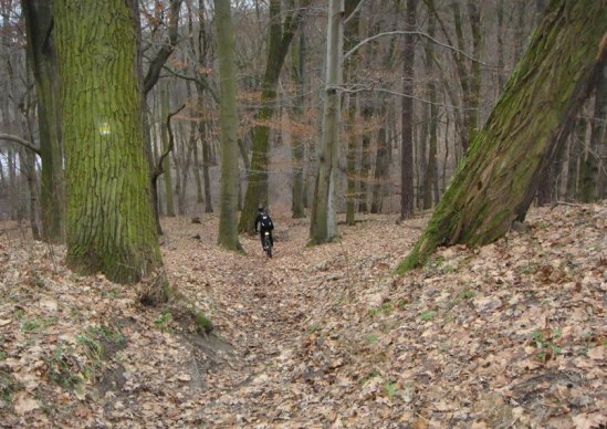 20121229 Römerschanzentour 8